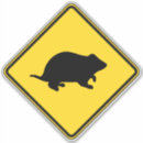 Recherche de hamster autocollants Humoristique