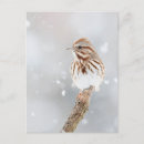 Recherche de chansons cartes postales Hiver