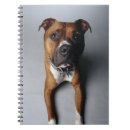 Recherche de pitbull carnets Chiot