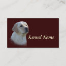 Recherche de labrador retriever cartes visite Laboratoire