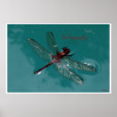 Zoek naar vliegend insect posters Limonade