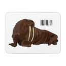 Recherche de morses magnets Arctique