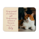 Recherche de sympathie magnets Chat