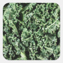 Recherche de kale autocollants Sain