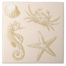 Recherche de shell carreaux Plage