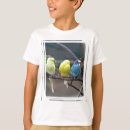 Zoek naar parkieten tshirts Gezelschapsdieren