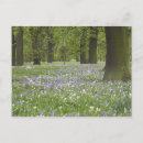 Recherche de chen cartes postales Fleur