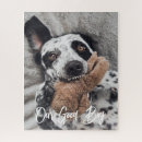 Zoek naar hond puzzles Foto