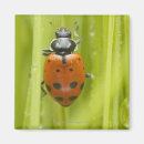 Zoek naar ladybird magneten Natuur