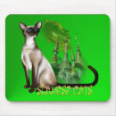 Recherche de siamois tapis souris Animaux