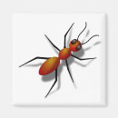 Recherche de fourmi magnets Humour