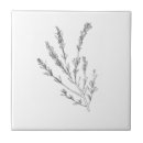 Zoek naar herb tegels Rozemarijn