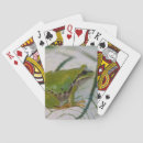 Recherche de grenouille jeux de cartes Reptile