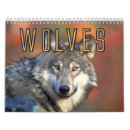 Recherche de loups calendriers Gris