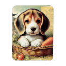 Recherche de chiot vintage magnets Rétro