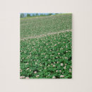 Zoek naar landbouw puzzels Plant