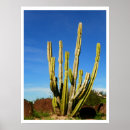 Recherche de foto posters Photographie