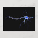 Recherche de neurones cartes postales Biologie