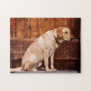 Zoek naar labrador retriever puzzels Huisdier