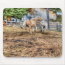 Recherche de palomino cheval tapis souris Palominos