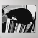 Recherche de bibliothèque posters Humour