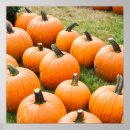 Zoek naar voor verkoop posters Fotografie