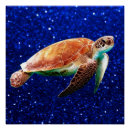 Recherche de tortue de mer posters Rose
