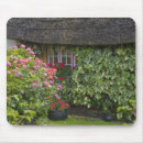 Recherche de maison vacances tapis souris Village