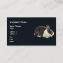 Recherche de la hollande cartes visite Lapin