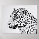 Zoek naar geschilderd kunst Zwart wit