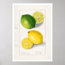 Recherche de amanda posters Vintage
