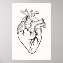 Zoek naar cardiologie kunst Anatomie