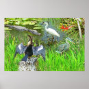 Recherche de la floride posters Alligator