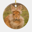 Recherche de tête de lion ornements Mignon