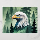 Recherche de aigle chauve cartes postales Illustration