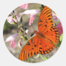 Recherche de papillon orange autocollants Fleurs