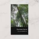 Recherche de plante en bambou cartes visite Nature