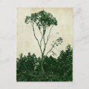 Recherche de silhouette vintage cartes postales Illustration