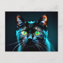 Recherche de mystérieux cartes postales Chaton