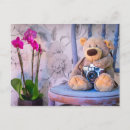 Recherche de peluches cartes postales Pour tous