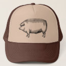 Recherche de porcs casquettes Ferme