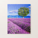 Zoek naar provence puzzels Zomer