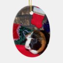 Recherche de cailloux ornements Noël