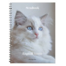 Recherche de chaton carnets Beau