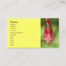 Recherche de color photographie Nature