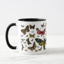 Recherche de dessin papillon tasses Chenille