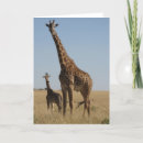 Zoek naar girafe kaarten Dier