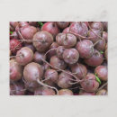 Recherche de betteraves cartes postales Nourriture