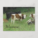 Zoek naar wisconsin briefkaarten Fotografie