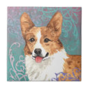 Recherche de welsh corgi carreaux Mignon